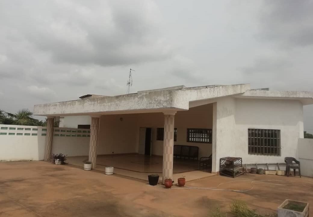 596514295_122262783422186126_7579800250599529761_n